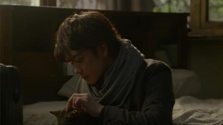 [文]《假如猫从世界上消失了》解说文案假如猫从世界上消失--独一无二的不同