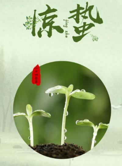 惊蛰节气：春雷响，万物长