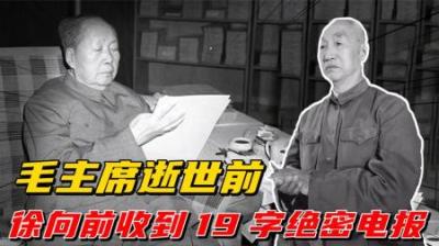 [视]1976年，徐向前元帅收到毛主席绝密电报，19个字让徐帅泪流满面