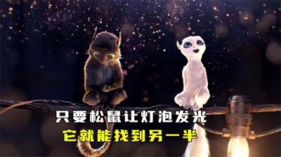 [视]只要公松鼠让灯泡亮起，他就能找到另一半