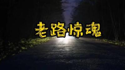 【民间恐怖故事】老路惊魂[附音频]