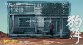 彭于晏和黑狗的故事，是极富诗意照旧不知所云？
