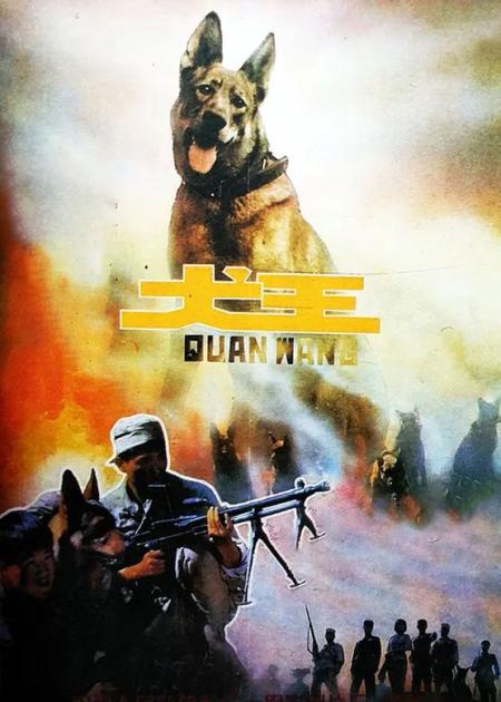 [文]29年前的《犬王》饱受争议为了画面真实导演炸死一条功勋军犬