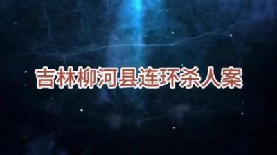 [视]连环杀人案无一幸免#大案纪实 #真实事件 #真实故事