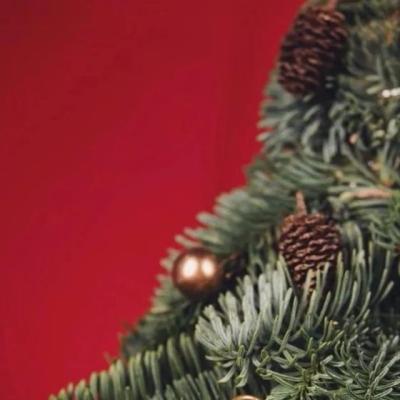 【经典】有关认知能力重要性的名人名言（能力重要的名人名言）