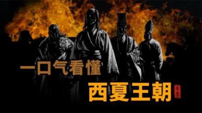 [视]一口气看懂西夏王朝