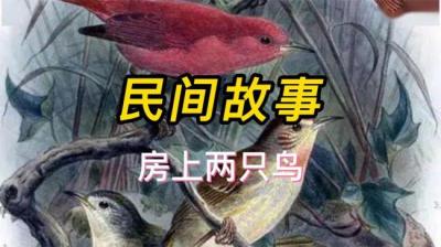 【民间恐怖故事】房上两只鸟[附音频]