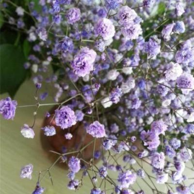 【爱情】可以没有爱情的文案（没有爱情的文案伤感）