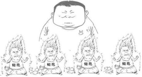 女生武功山失温遇难！失温是咋回事？