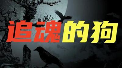【民间恐怖故事】追魂狗[附音频]
