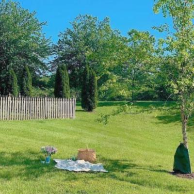 【爱情】婚礼纪上的句子（适合婚礼的简短句子）