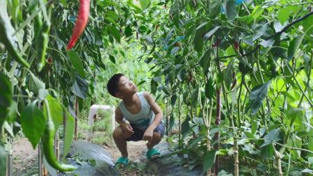 [文]《姐弟的夏夜》：又挖到一部宝藏韩国片，横扫各类大奖，我不推荐你又要错过了