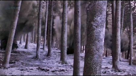 [文]《大虎》解说文案『猛虎归林是天命。』