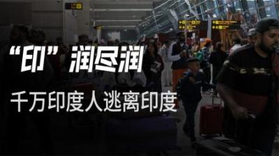 [视]印度移民困境：1800万人跑路，富翁穷人都跑，移民总数世界第一！