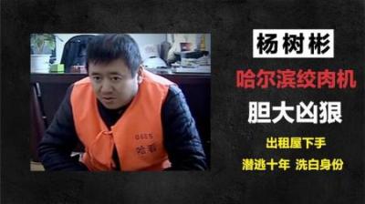 [视]哈尔滨绞肉机杨树彬，疯狂作案残害十余人，逃亡十年终于落网