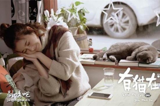 《有猫在》_第1-2集_分集剧情