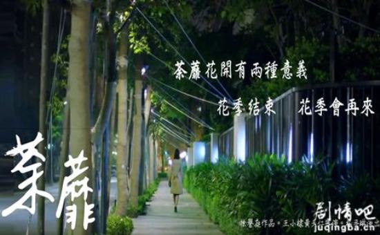 《荼蘼》_第1-3集_分集剧情