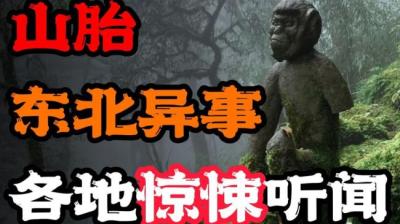 【民间恐怖故事】山胎[附音频]