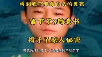 [视]普通的一次交通事故导致18岁的少年服毒自杀#我的观影报告