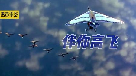 [视]十年没见的爸爸居然会“飞”，用一群鸟治愈人心《伴你高飞》