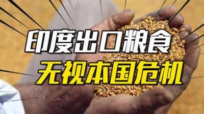 [视]疯狂卖出国民口粮，印度为何无视“粮食危机”？