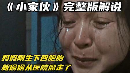 [文]剧情《小家伙》电影解说文案