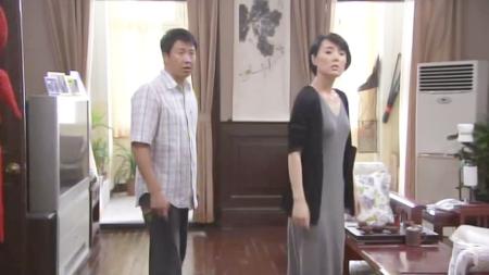 [文]《顾乐家的幸福生活》评论：一部有些朴实的家斗剧整剧剧评-电视剧解说文案