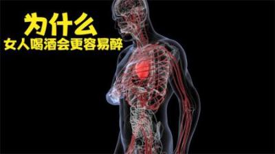 [视]当你喝酒之后身体内部会有什么变化？为什么女人更容易喝醉