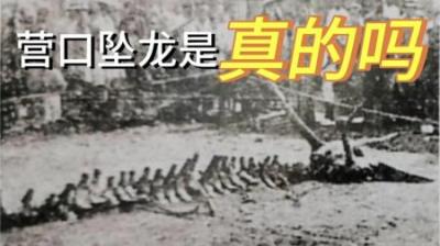 [视]神秘的营口坠龙事件的结局到底是什么样？#龙#龙年#营口坠龙