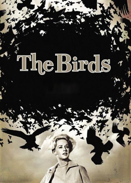 [文]《群鸟》世界第一悬疑大师惊世之作，极简单的故事，拍出了惊心动魄的效果