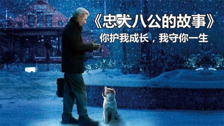 [文]剧情《忠犬八公的故事》电影解说文案(忠犬八公电影剧情)