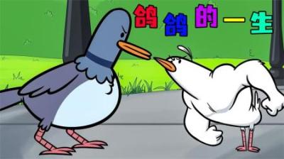 [视]《鸽鸽的一生》没想到无敌的鸽鸽，最后成了老头的晚餐