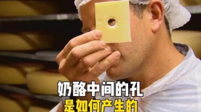 [视]奶酪孔是如何形成的？ #科普 #奶酪 #知识科普小常识 #涨知识