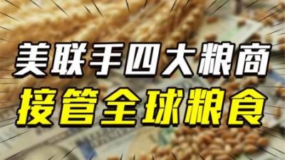 [视]美国粮食霸权真相：美方操纵四大粮商捞金，控制全球多数粮食交易