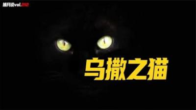 [视]可爱猫咪竟有恐怖的一面，克苏鲁作者讲述的都市传说