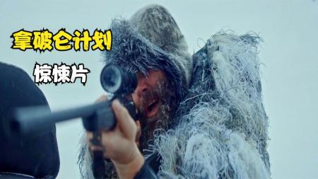 [文]冰岛发现一架飞机残骸将解开二战纳粹秘密文件《拿破仑计划》