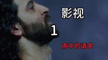 [文]剧情电影《雨中的请求》影评 解说素材 观后感(雨中的树电影剧情)