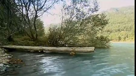 [文]《穆桂英挂帅》评论：肉麻又现代“雷剧”整剧剧评-电视剧解说文案