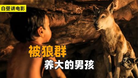 [文]《森林之王毛克利》男孩被狼收养，慢慢成为王者的历程《森林之王毛克利》