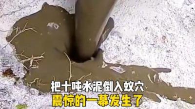 [视]用10吨水泥灌满蚂蚁窝后，震惊的一幕发生了！ #探索发现