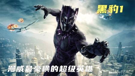 [文]《黑豹》解说文案《黑豹》漫谈