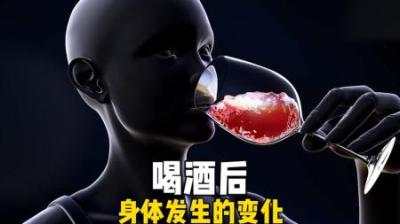[视]喝酒后身体的变化，看完后你还会大量饮酒吗？ #涨知识 #喝酒 #酒