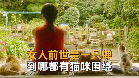 [文]剧情《租赁猫》电影解说文案