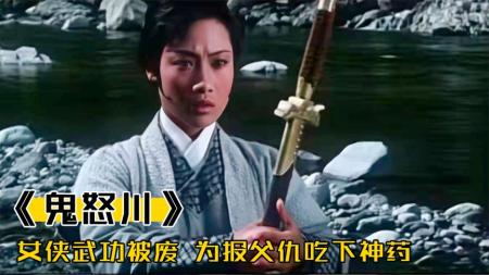 [文]《鬼怒川》女侠为取神药，全身武功被废，还差点被淫贼所害，武侠片