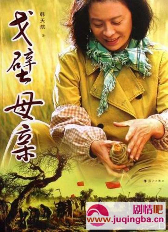 《戈壁母亲》_第1-2集_分集剧情