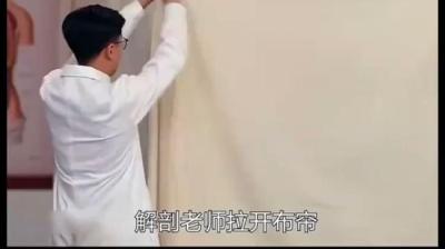 标本诈尸 下[附音频]