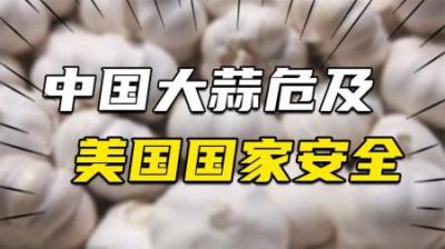 [视]要对中国贸易去风险，拿大蒜说事，大蒜如何危及美国国家安全？