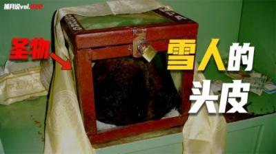 [视]神秘生物存在的证据，渔船捞出蛇颈龙遗骸，雪人头皮被保存在寺庙