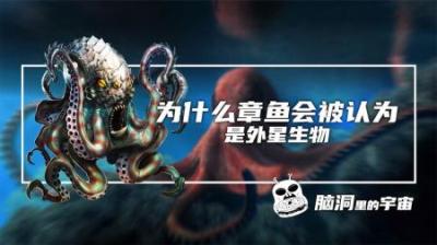 [视]为什么都说章鱼是外星生物？#海洋生物 #科普一下 #动物科普