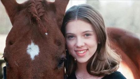 [文]剧情《马语者》电影解说文案